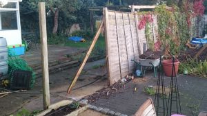 storm damage
