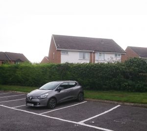 Kingston Blount Hedge Removal