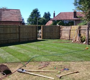 kingston blount fencing