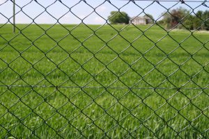 chain link fencing